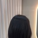 헤어메머리