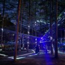 모험레포츠연수원 캠핑장 | 사립 피노키오 자연휴양림 (강원도)