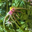 우빈농장 이미지