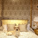 허니문 여관 이미지