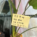 선돈식당 이미지