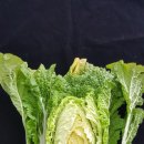 구억농장 이미지