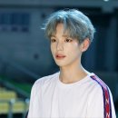 찬찬찬 Daum카페