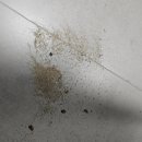 아이숲어린이집 | [춘천 숲어린이집] 계속 보내도 괜찮을까? 3년차 엄마의 현실 후기