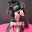 태원켄넬 이미지