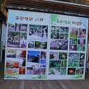 양구 박수근미술관, 파로호 꽃섬, 한반도섬 그리고 두타연 2023. 10. 21 이미지