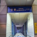 [영통역 빵집 추천] 밀가루 없는 호밀·통밀 건강 베이커리 ‘호밀앤통밀’ 후기