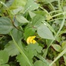 한들방죽공원 이미지