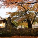 팔공산올레길 8코스 이미지