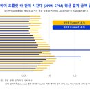 비자