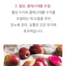 자연치유숲속농원 이미지
