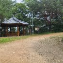 DMZ평화의길 29코스 2부 : 평화 생명 미래가 열리는 희망의 땅 서화 이미지