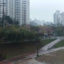 죽전1동 주민센터 이미지