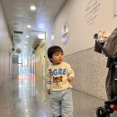 검단아라태평양약국 | 어느 봄날, 감기로 검단 꿈꾸는 소아청소년과의원, 검단아라태평양약국, 김포 아이토이, 원당교 근처...