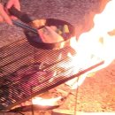 싱싱꼬기 이미지