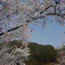 승주초등학교 이미지