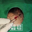 강동실비 이미지