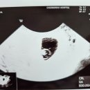 더영산부인과의원 이미지