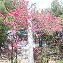 삼보목장 이미지