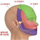 송담한의원 네이버블로그