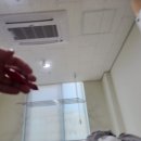 일신관 이미지