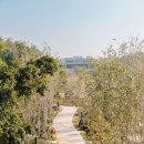 영흥수목원 야외 이미지