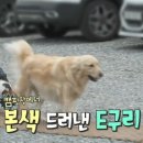 홍천와캠핑 이미지