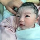 아기와 만나는 순산요가(수시접수) | [임신일기] 마지막편 38주6일 / 뽁뽁이 태어나다 / 에덴메디 자연분만 후기