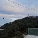 좋은 홍삼 제품 구매하는 방법은?