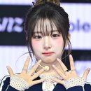 정하연 카카오 검색결과