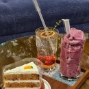 꼬마애견 | [신림역 카페] 새벽 5시까지 여는 애견동반카페 꼬마다방