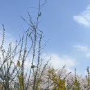 어린이교통공원 | 아이랑 서울 근교 광명 어린이 교통공원에서 놀고왔어요