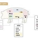 소고기 및 돼지고기 부위명칭 이미지