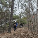 완주군 *종남산-서방산-오도치봉-대항산-앞대산* (24.02.29) 이미지