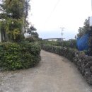 남원읍-83 이미지