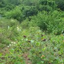 전원락농장 이미지