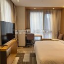 알로프트서울명동호텔 | 알로프트 서울 명동｜크리스마스 신세계 파사드 뷰 룸 후기, 메리어트 본보이, 기념일 숙소