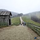 삼성목장 이미지