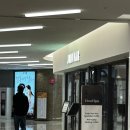 준오헤어 코엑스몰점 레이어드컷 후기 : 손질편한디자인 추천, 트렌디한스타일의 헤어