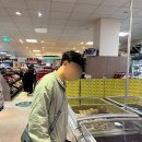 ㈜세유로투어 | [신혼여행] day 9_프랑크푸르트 시내투어 | 유로타워·뢰머광장·아이젤너다리·공항이동 총정리