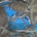 뻘낙지수산 이미지