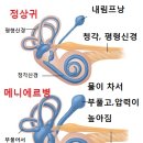 신촌연세이비인후과 이미지