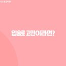 디자인톡스 네이버블로그