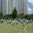 국가대표불무태권도 이미지