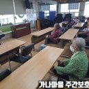 가나키센타