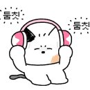 피티스튜디오펄스 이미지