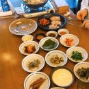 비채원
