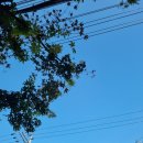 상사동로-10 이미지