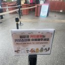 가평역 자전거길 | 서울 근교 당일치기 여행, 부모님과 함께한 남이섬 후기