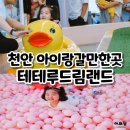 테테루 드림랜드 이미지